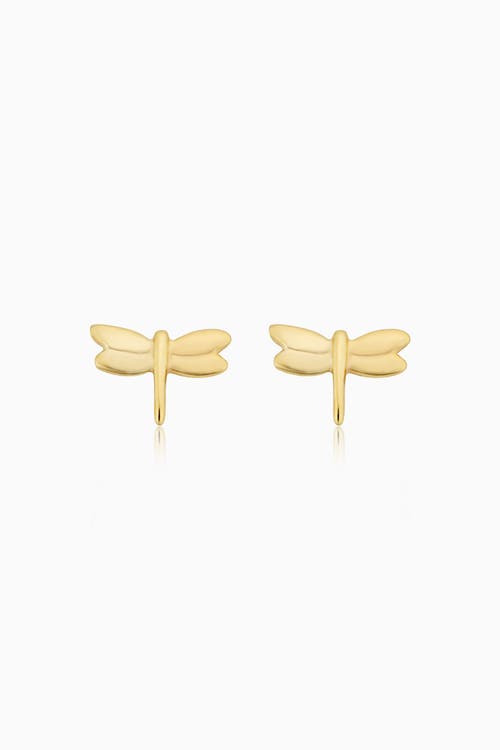 Shop Oradina 14k Yellow Gold Flora Studs