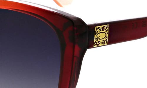Oscar De La Renta Rounded Modern 54mm Cat Eye Polarized Sunglasses In Burgundy Gradient
