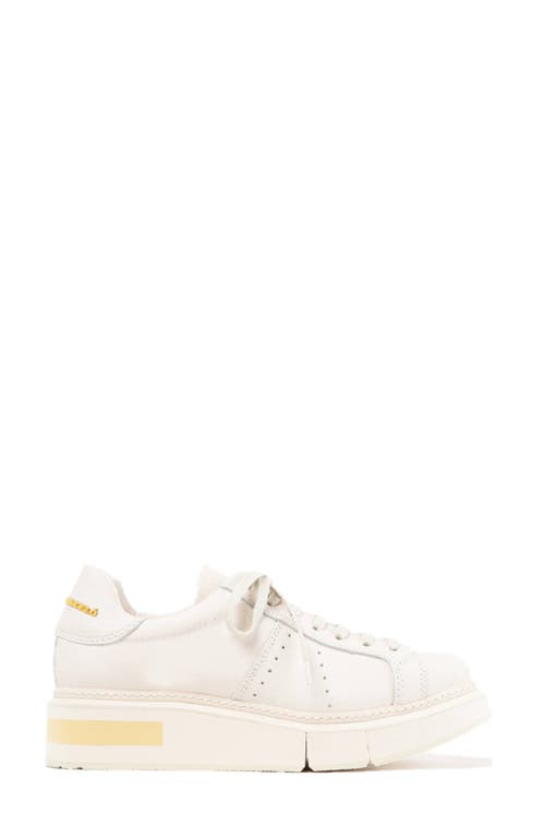Agen Sneaker in White/Gesso-S. yellow
