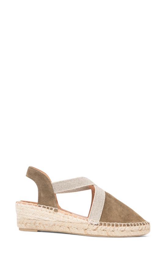Shop Patricia Green Grace Espadrille Wedge In Olive