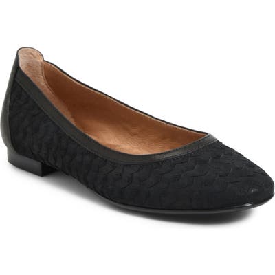 Sofft Women's Shoes
