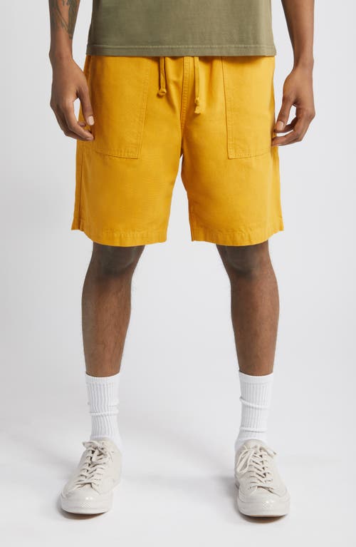 Organic Cotton Canvas Chef Shorts in Gold