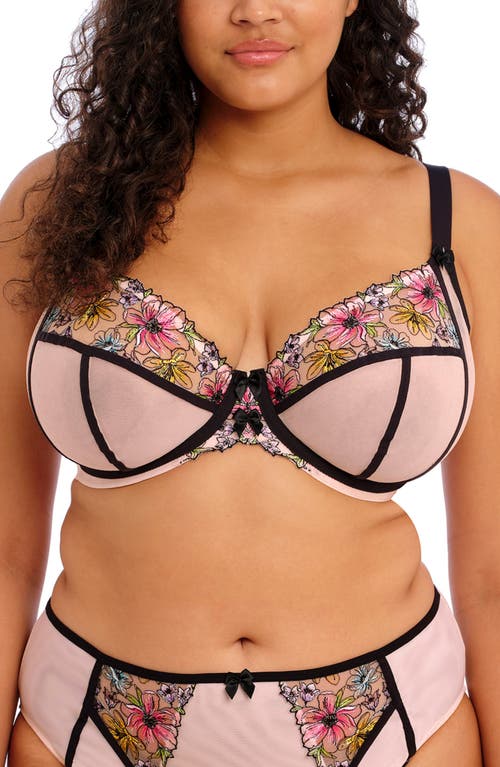 Elomi Carrie Underwire Plunge Bra Ballet Pink at Nordstrom,