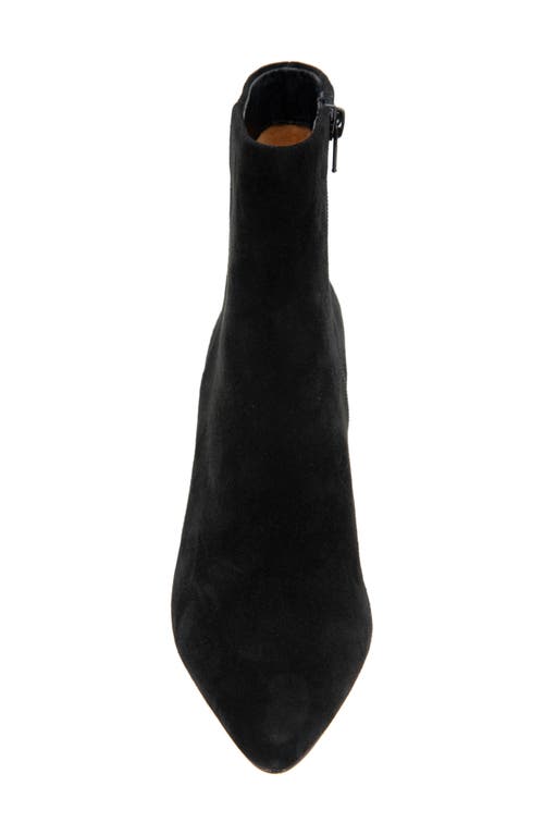 Andre Assous André Assous Winter Water Resistant Pointed Toe Bootie In Black Suede