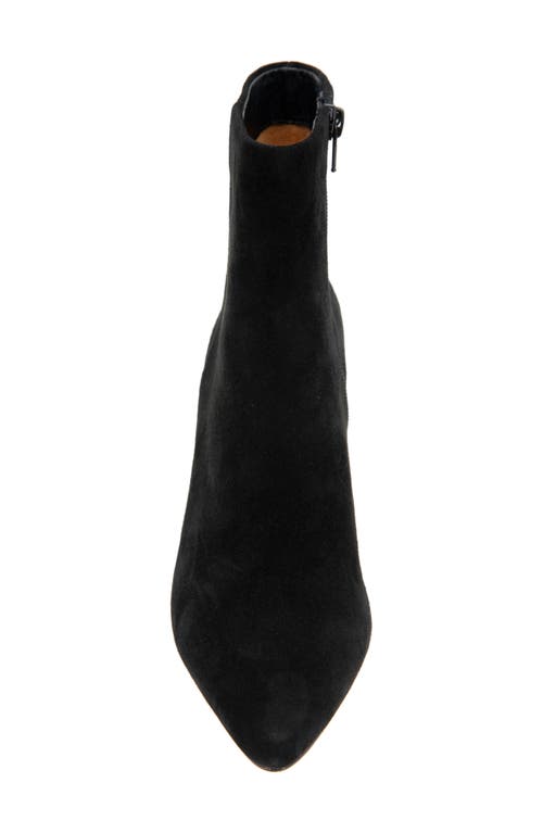 Shop Andre Assous André Assous Winter Water Resistant Pointed Toe Bootie In Black Suede