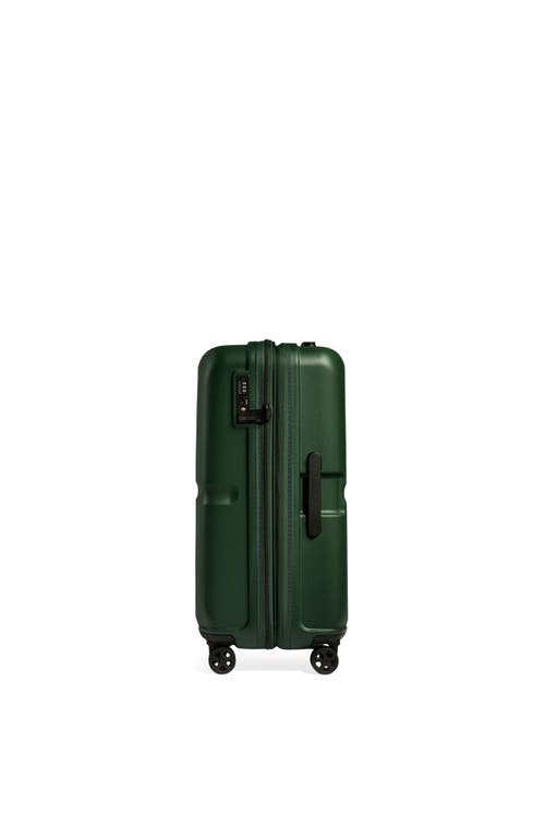Antler Single Stripe Medium In Green