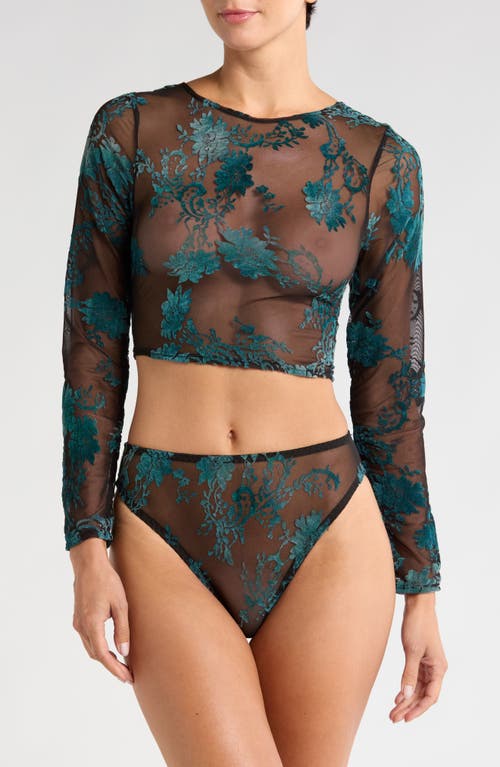 Shop Kilo Brava Floral Embroidered Mesh Long Sleeve Crop Top In Black Emerald