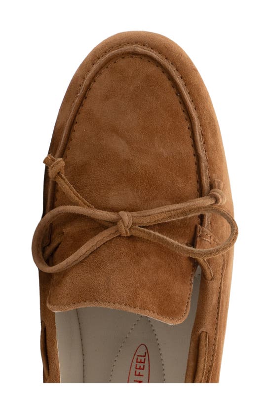 Shop Amalfi By Rangoni Dubblino Driving Loafer In Cider Cashmere