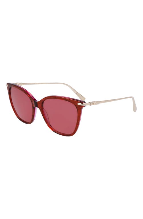Longchamp Roseau 55mm Rectangular Sunglasses In Striped Red