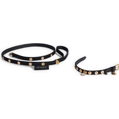 Versace Barocco Dog Collar & Leash Set