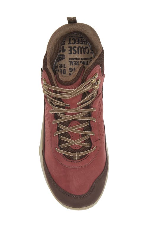 Keen Terradora Explorer Waterproof Hiking Boot In Andorra/java