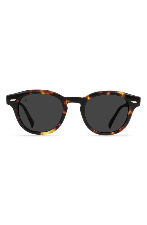 Shop Raen Kostin 48mm Polarized Round Sunglasses In Ristretto Tortoise/smoke