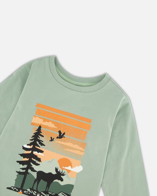 Shop Deux Par Deux Boy's Long Sleeve T-shirt With Print Sage In Jadeite