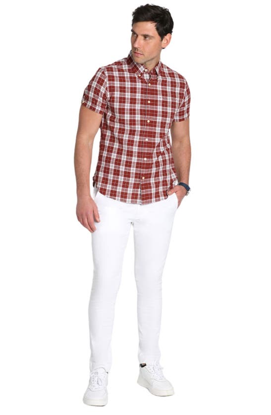 Shop Jachs Madras Plaid Short Sleeve Cotton Button-down Shirt In Burgundy Plaid Madras