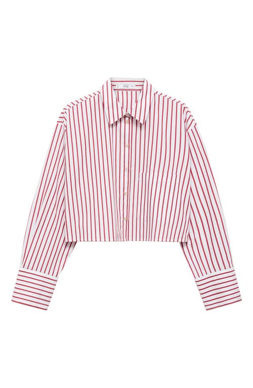 Mango Stripe Crop Button-up Shirt In Red