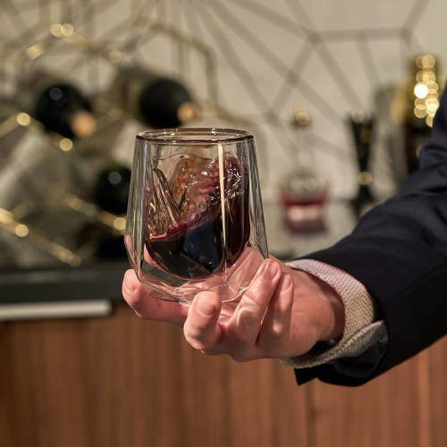 Viski Alchemi Aerating Wine Tasting Glass By Alchemi In Clear
