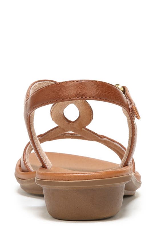 Natural Soul Solo Ankle Strap Sandal In Toffee Brown Synthetic