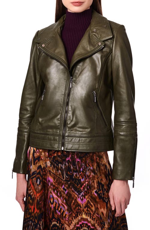 Leather Moto Jacket in Olive Branch