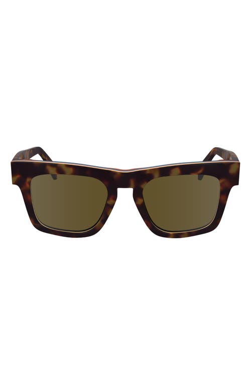 Paul Smith Kramer 51mm Rectangular Sunglasses In Havana Multi-stripe