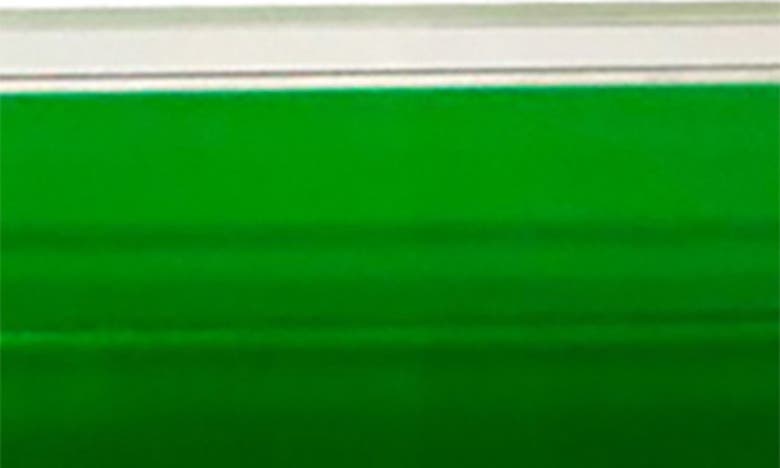 R16 Home Encased Color Lucite Tray In Clear/ Dark Green