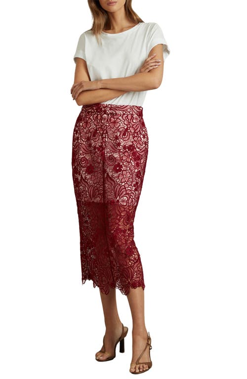 Shop Reiss Flo Lace Midi Skirt In Burgundy