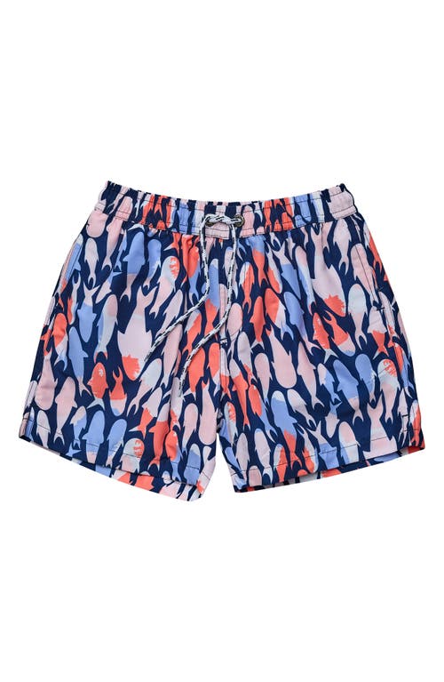 Snapper Rock Kids' Fish Frenzy Volley Shorts Navy at Nordstrom,