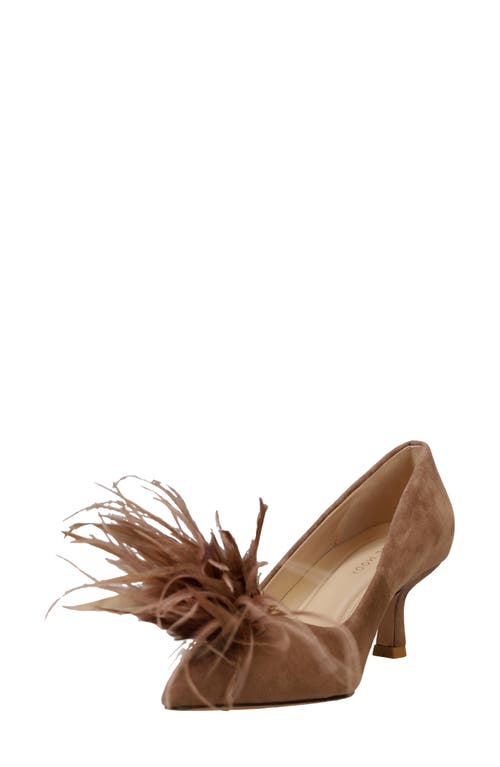 Shop Pelle Moda Kealie Pointed Toe Pump In Taupe