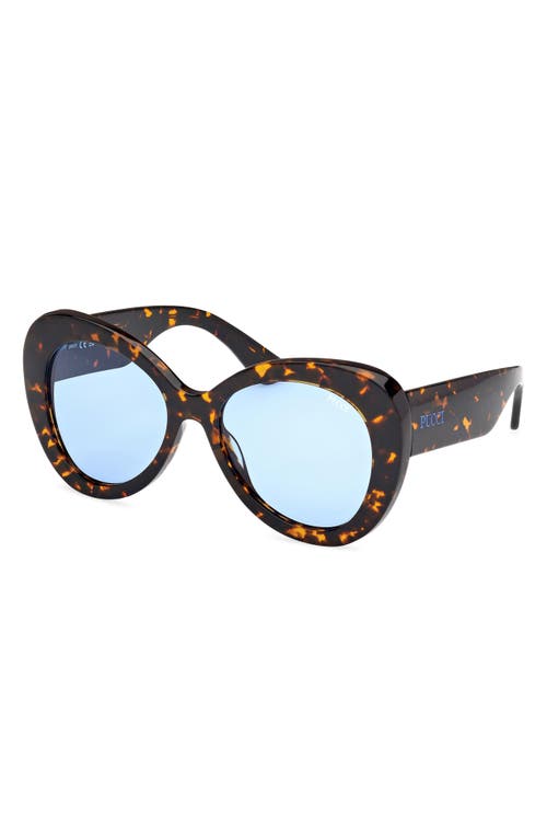 Pucci Emilio 56mm Round Sunglasses In Dark Havana/bright Blue