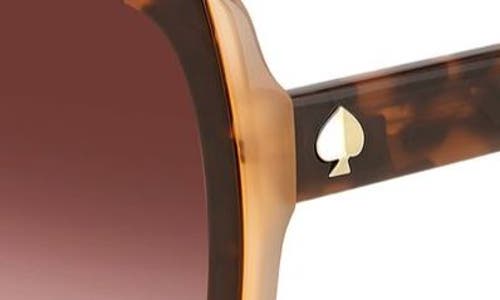 Shop Kate Spade New York Kimber 56mm Gradient Square Sunglasses In Havana/brown Gradient