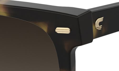 Carrera Eyewear 55mm Rectangular Sunglasses In Havana/brown Gradient