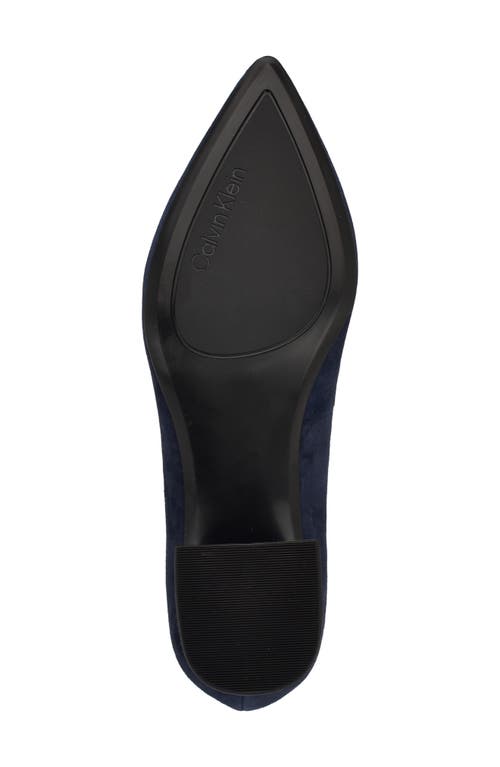 Shop Calvin Klein Lenott Pointed Toe Pump In Dark Blue