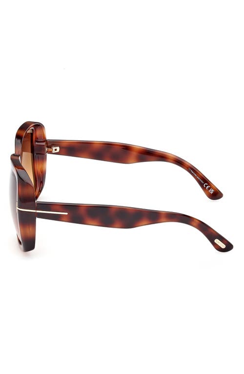 Shop Tom Ford 61mm Geometric Sunglasses In Dark Havana/gradient Brown
