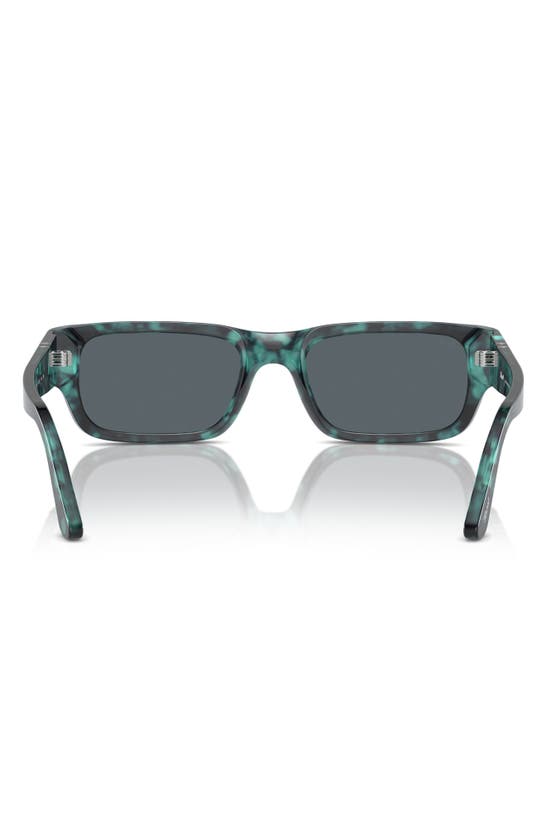 Persol Frame Sunglasses In Blue Havana