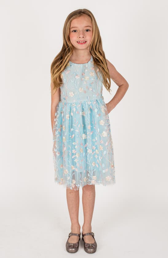 Shop Popatu Kids' Floral Embroidered Party Dress In Blue