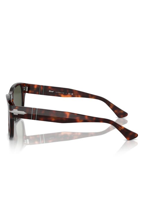 Persol 55mm Pillow Sunglasses In Havana