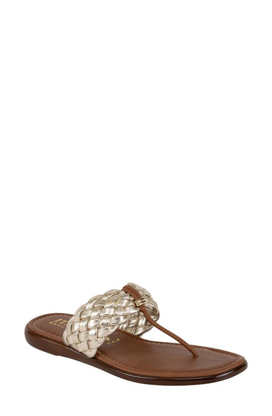 ITALIAN SHOEMAKERS ITALIAN SHOEMAKERS HASLEY FLIP FLOP