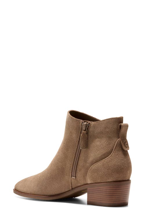 Shop Cole Haan Vayda Bootie In Chestnut