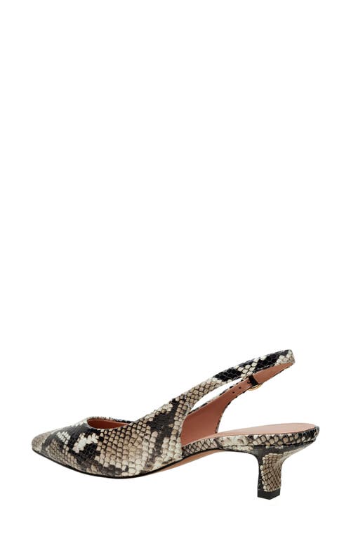 Linea Paolo Cecil Slingback Pointed Toe Kitten Heel Pump In Natural