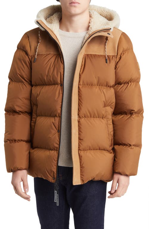 UGG(r) Shasta Genuine Shearling Wind & Water Resistant 700 Fill Power Down Puffer Jacket in Chestnut
