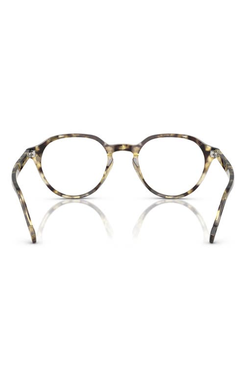Vogue 48mm Phantos Optical Glasses In Mustard