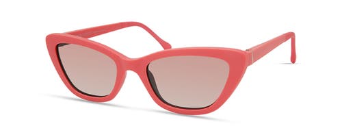 Shop Italia Independent Amalfi Sunglasses In Pink