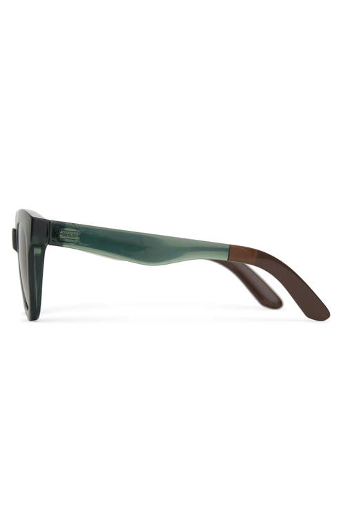 Toms Florentin 52mm Cat Eye Sunglasses In Spruce Crystal/green Grey