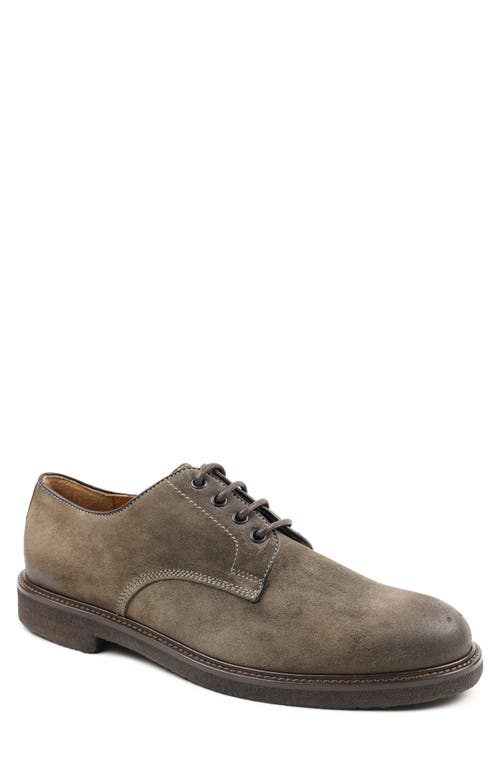 Bruno Magli Guy Plain Toe Derby in Taupe Suede