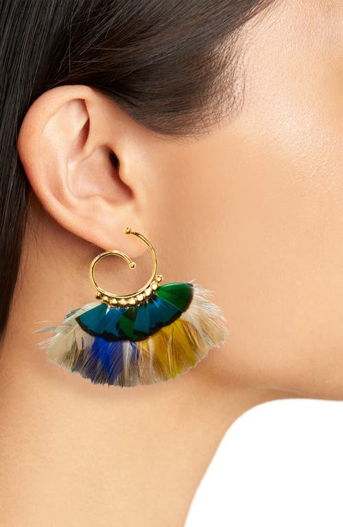 Shop Gas Bijoux Small Buzios Feather Earrings In Gold Blue Pink