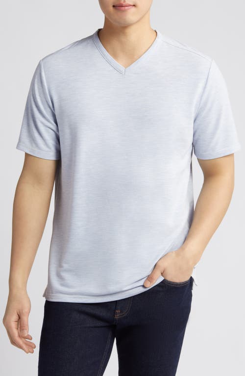 Tommy Bahama New Costa V-Neck T-Shirt at Nordstrom,