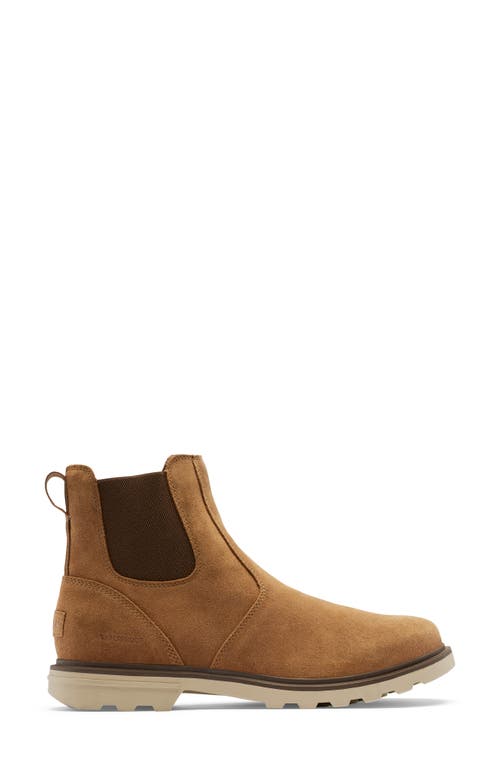 SOREL Carson Waterproof Chelsea Boot in Camel Brown/Oatmeal at Nordstrom, Size 13