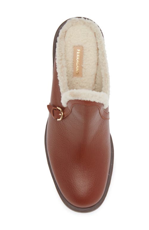 Shop Ferragamo Saura Genuine Shearling Lined Mule In Cappuccino Naturale Biscotto