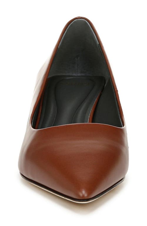 Shop Sarto By Franco Sarto Diva Pointed Toe Kitten Heel Pump In Brown