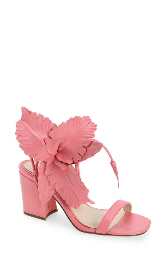 Shop Cecelia New York Hibiscus Sandal In Cano Rose Suede
