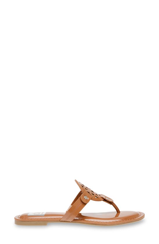 Dolce Vita Gotie Laser Cut Studded Thong Sandal In Cafe Patent